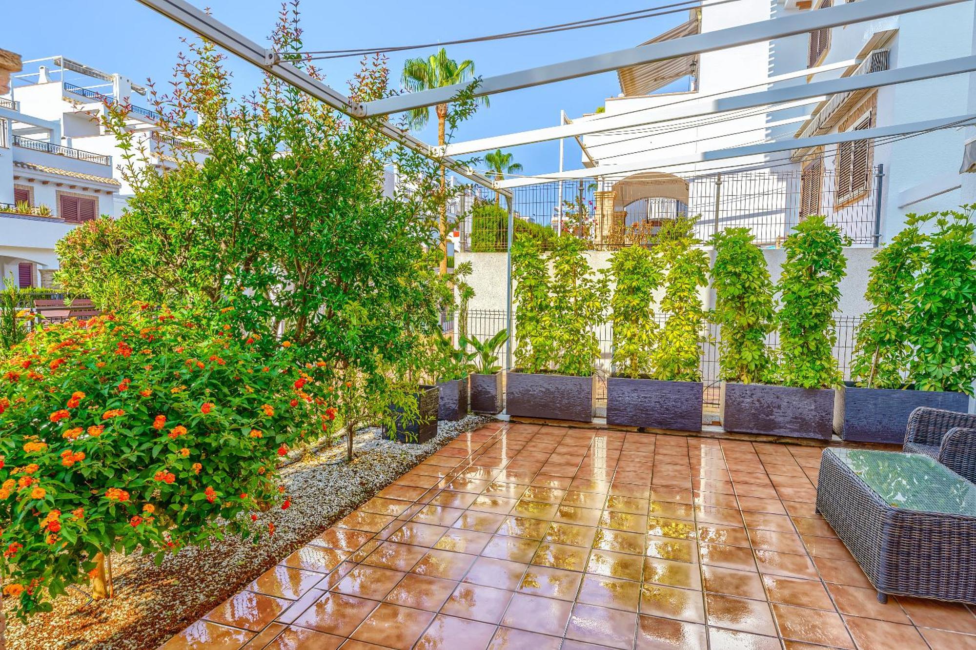Sunny Apartments In La Mata, Azul Beach 2 Torrevieja Buitenkant foto